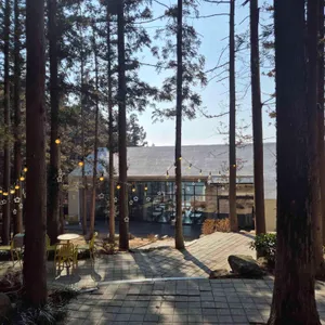 아이리 대표 사진