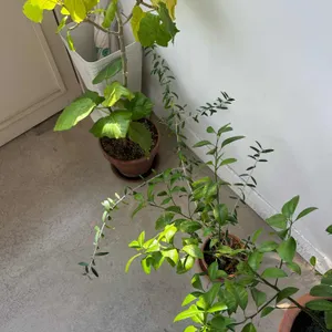 주재커피 대표 사진