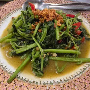 타이리셔스 대표 사진