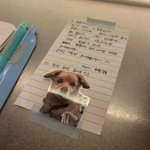 카도카도 리뷰 사진