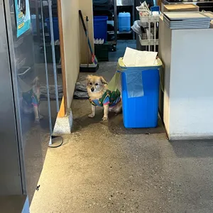 카도카도 리뷰 사진