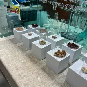 SANS 산스 대표 사진