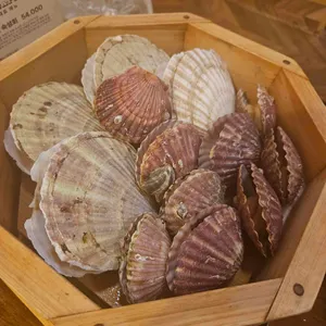 도림항 대표 사진