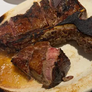 놉스 대표 사진