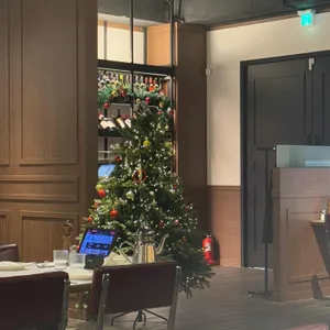 놉스 대표 사진