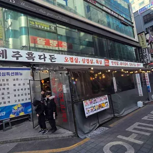 제주흑다돈 사진