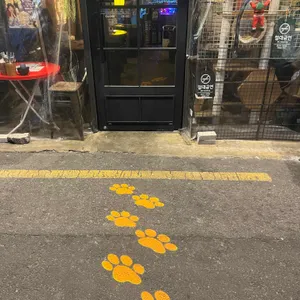 네코네주방 리뷰 사진