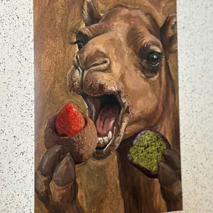 두바이오븐 사진 2