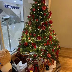 투파인드피터 대표 사진