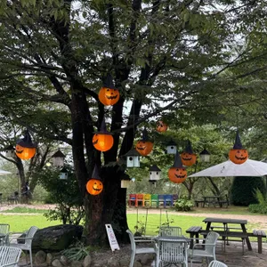 코미호미 대표 사진