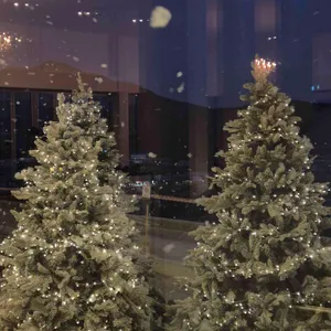 탄티 대표 사진