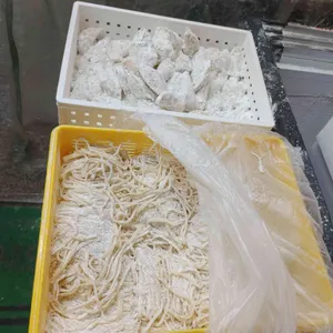 예진네김치만두 대표 사진