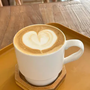 코이크 리뷰 사진