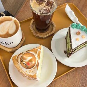 코이크 대표 사진