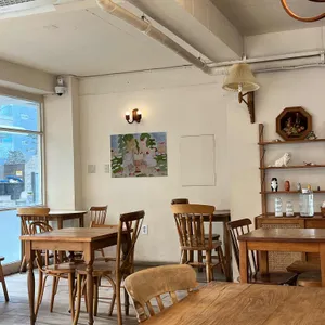 코이크 대표 사진