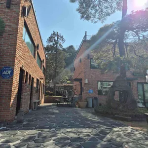 더노은로 리뷰 사진