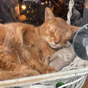 잠시 리뷰 사진