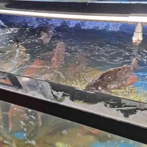 동문올레식당 대표 사진