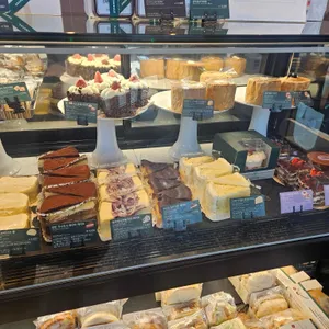 스타벅스 대표 사진