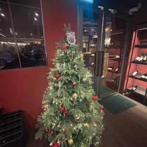 놉스 대표 사진