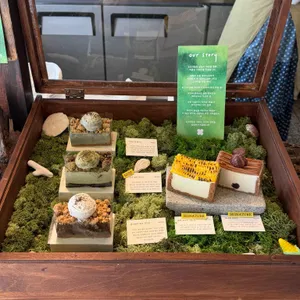 오프더월 리뷰 사진