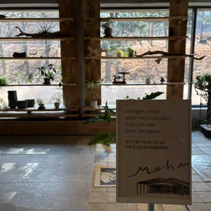 모하 더 그린하우스 리뷰 사진