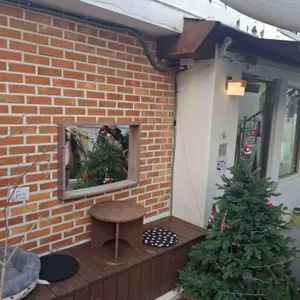 테르소 대표 사진