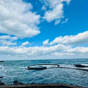 카페 청굴물 대표 사진