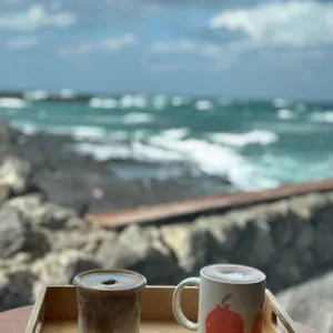 카페 청굴물 사진