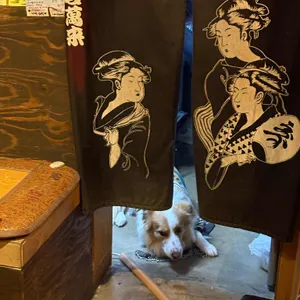 램니쿠야 대표 사진