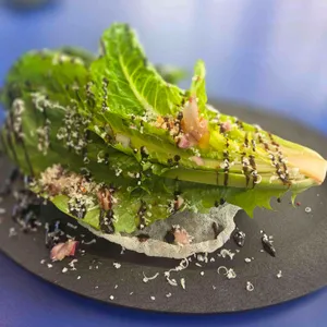 루아앤티그리 사진 2