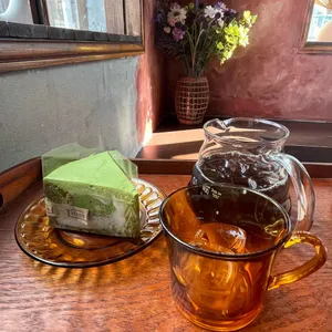 다니쉬 대표 사진