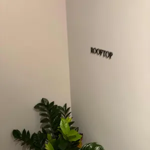 파사노 대표 사진