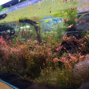 작은연못 리뷰 사진