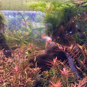 작은연못 리뷰 사진