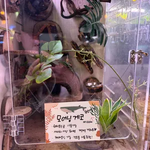 작은연못 리뷰 사진