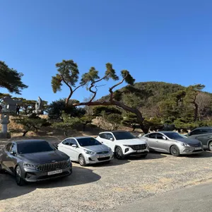 범서회관식육식당 리뷰 사진