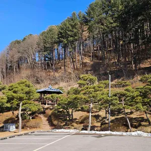 월송 유로베이커리 앤 로스터리 리뷰 사진