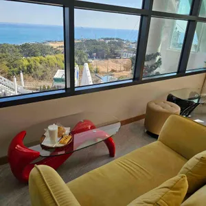 그림나무 대표 사진