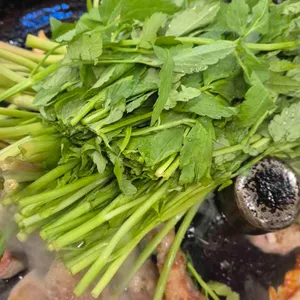 목구멍 대표 사진