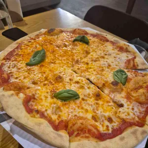 테르미니 대표 사진