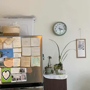 고리 대표 사진