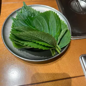 몽촌닭갈비 대표 사진