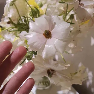 카페 방앗간 대표 사진