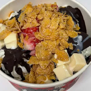 요거트아이스크림의 정석 사진