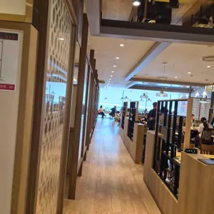 심비디움 대표 사진