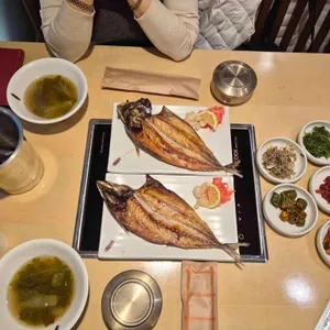 심비디움 대표 사진