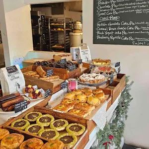 브레니파이칸틴 사진 2