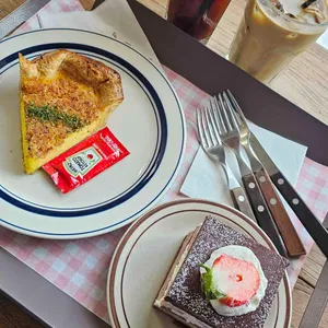 브레니파이칸틴 사진