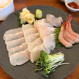 싱어리 대표 사진